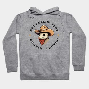 Not Very Rootin’ Tootin’ Hoodie